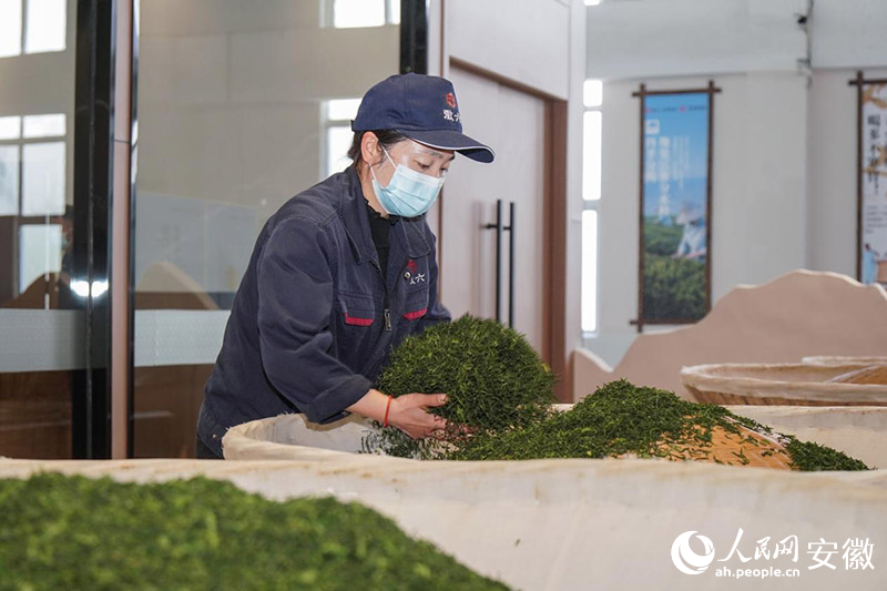 六安瓜片传统技艺中，温度与火候的把控，全凭老师傅的经验与手感。人民网记者 陈若天摄