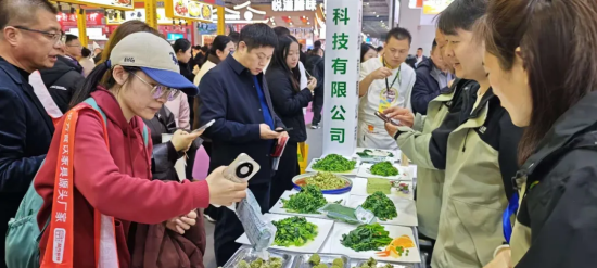 1774856579302083.png c9c69a7a-b2dc-4928-8051-ce37037b5347.png