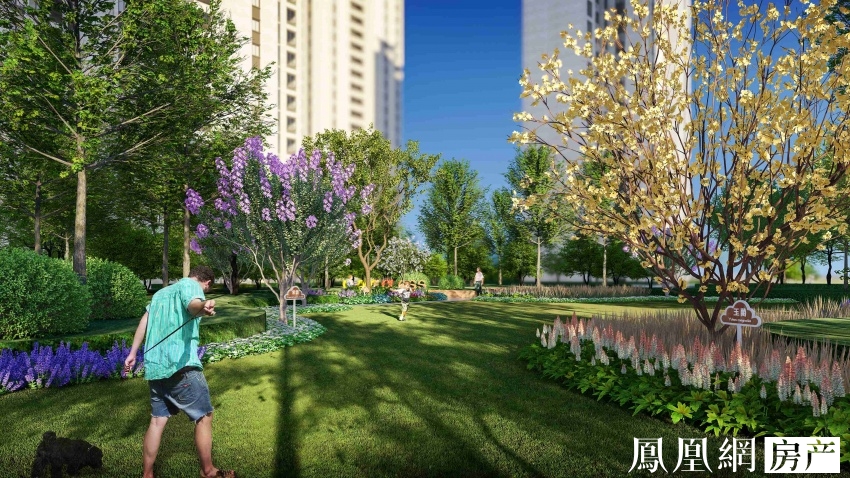 1610678998823327.jpg 1610678998823327.jpg