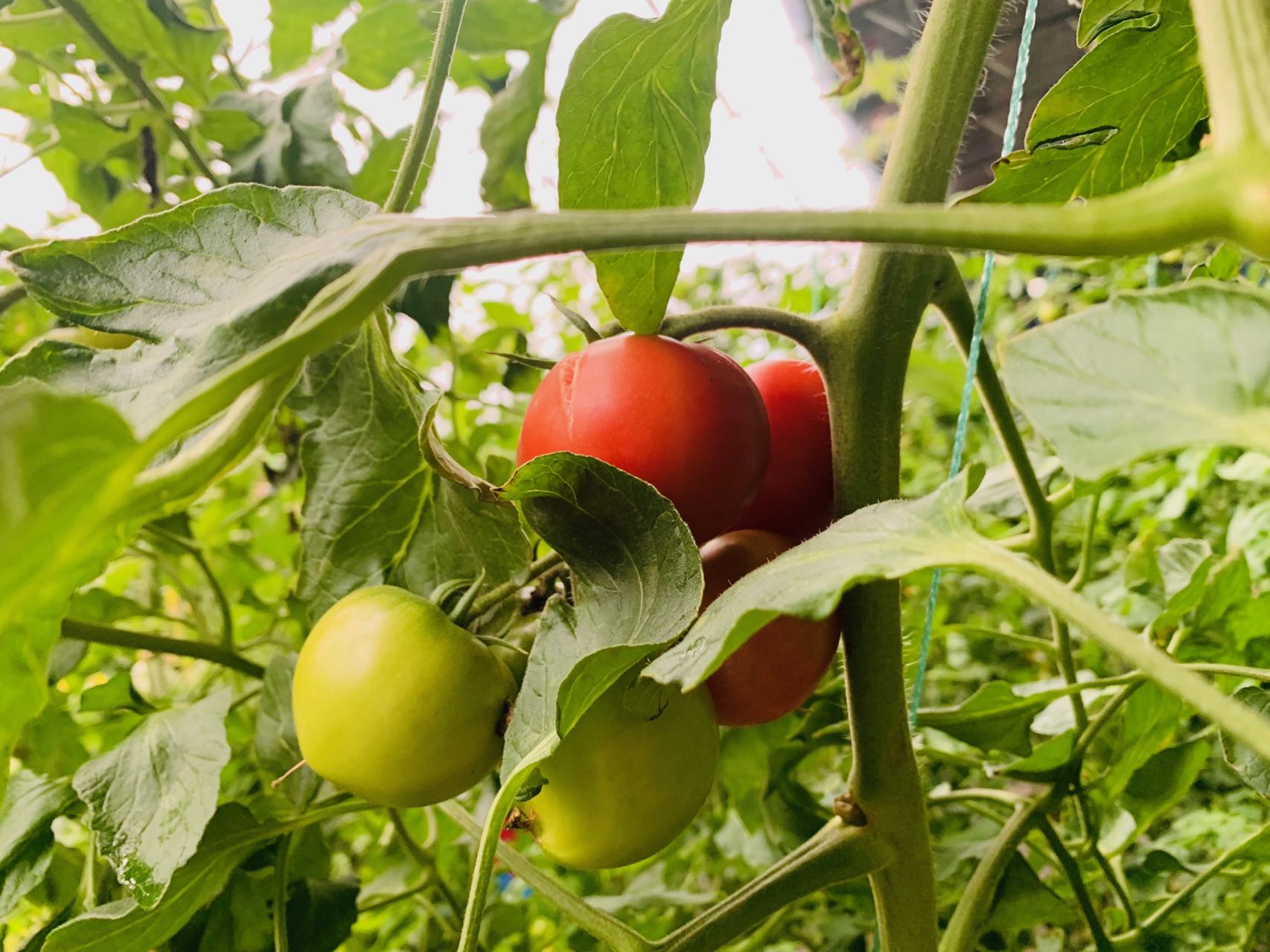 1644998684124861.jpg 微信图片_20220216160345.jpg