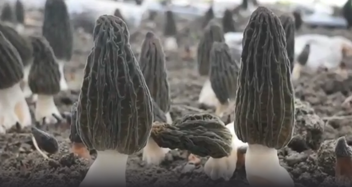 1645168098884948.png 微信截图_20220218150723.png