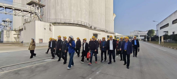 1761909650114369.png a3a31bca-313b-422f-9614-d4c5ce499101.png